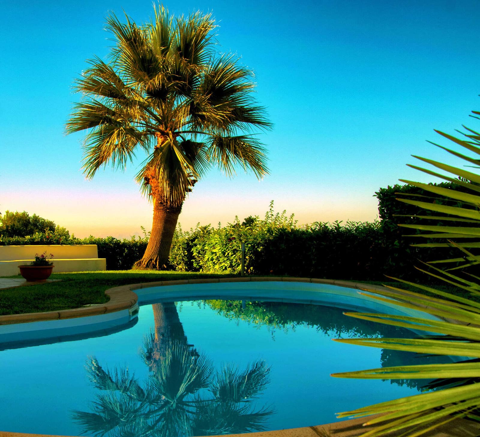 The Pros and Cons of Optimize in Pool Service Billing