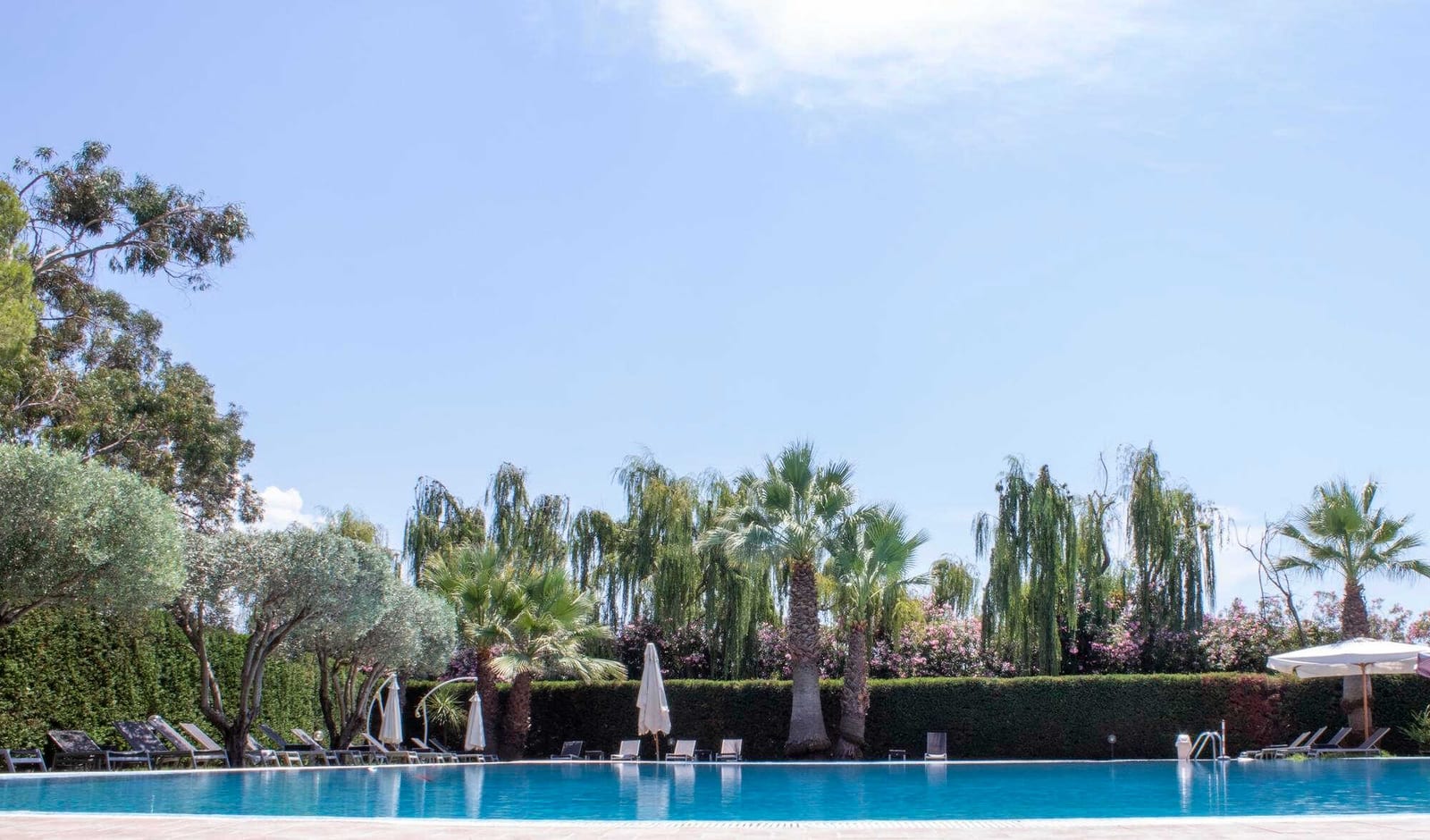 How to Create a Training Manual for Pool Technicians