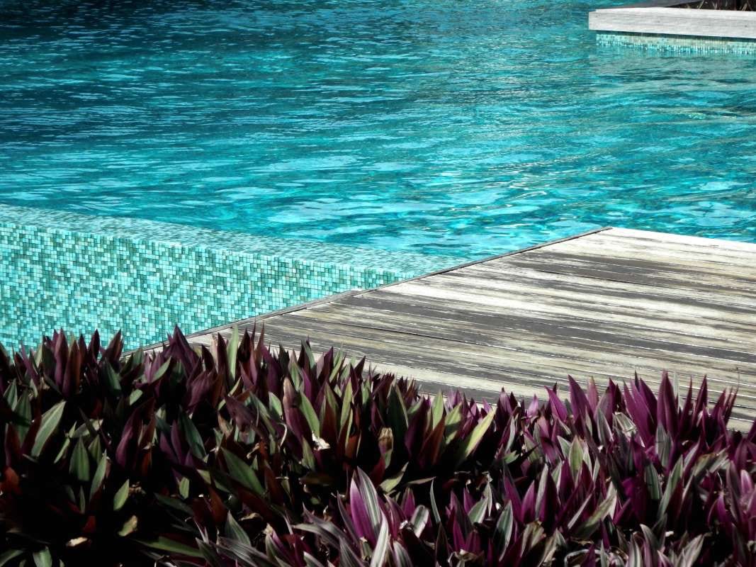 Automate vs Email: Which Is Better for Pool Billing?