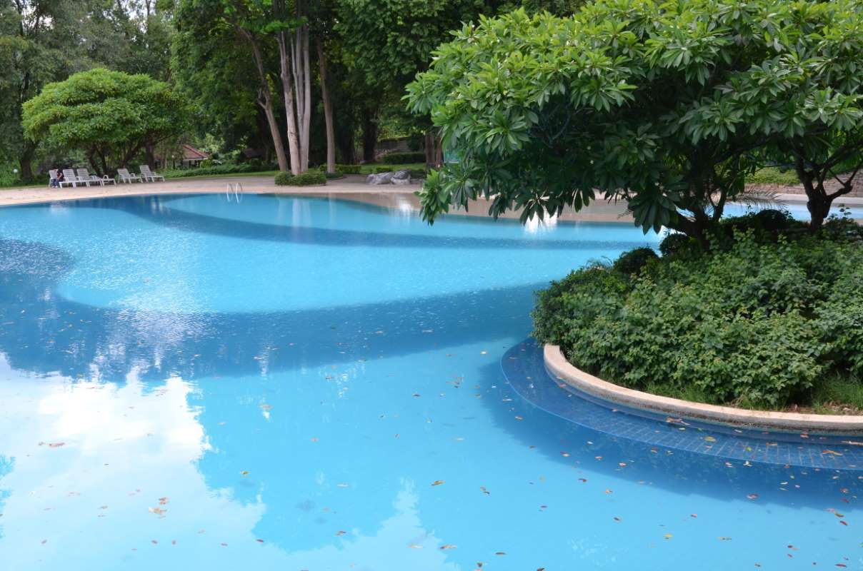 A Pool Pro’s Experience with Billing Apps vs EZ Pool Biller
