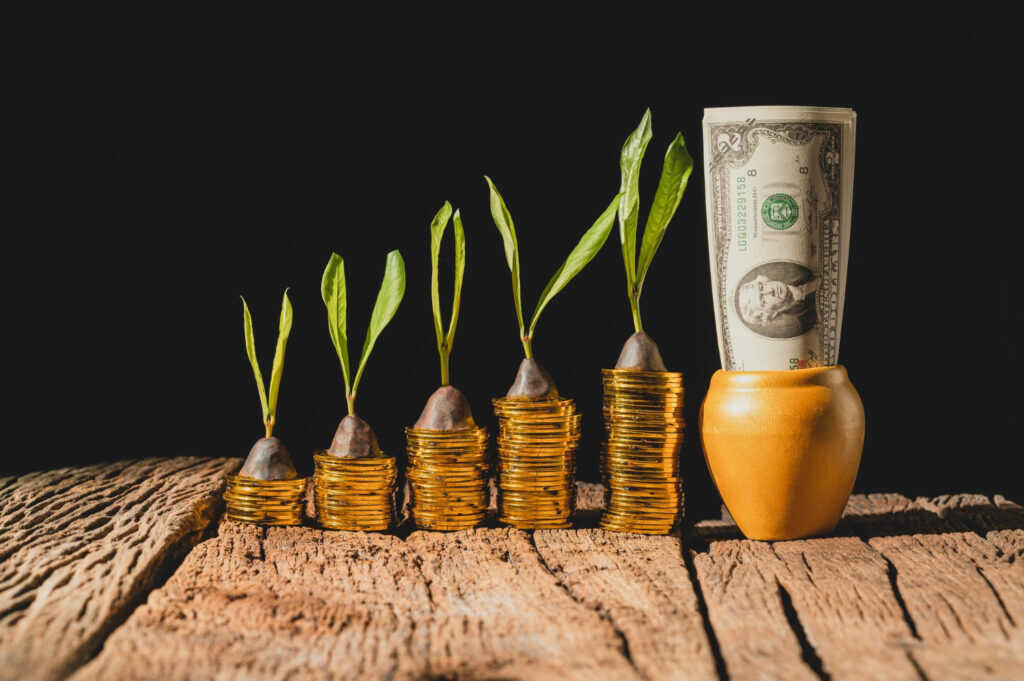 Common Mistakes to Avoid When You Grow