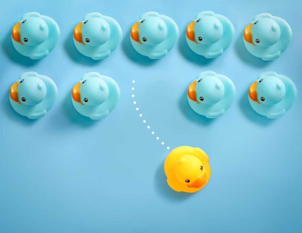 What Every Pool Team Needs to Coordinate Routes Efficiently